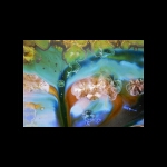 Birth of Opal detail 6x8 in.jpg